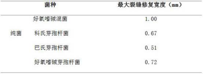 2020112747181 一种廉价高效的微生物裂缝自修复混凝土制备方法